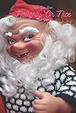 Have You Been Naughty Or Nice This Year?: A funny Christmas Notebook, Christmas Journal For Your Memories (lined, 100 pages)