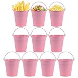 DIFIER 10 pcs Mini Metall Eimer Blecheimerfür Blumentopf Süßigkeiten Party und Hochzeit Deko Garten Tischdek