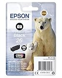 Epson C13T26114022 Foto Black Original Tintenpatronen Pack of 1