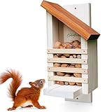 ERDENFREUND® Eichhörnchen Futterhaus ohne scharfes Glas & Genickbruch-Klappe 100% sicher wetterfest handverschraubt in der Pfalz Eichhörnchen Haus FSC