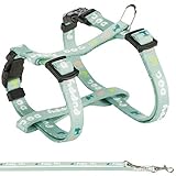 TRIXIE - Juniorgeschirr für Welpen mit Leine. Abmessungen: 23-34 cm/8 mm. grüne Farbe. - TR-15345, small/medium, M