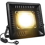 Relassy 50W LED Pflanzenlampe IP67 Wasserdicht COB LED Pflanzenlicht mit Wandhalterung und Schaltersteuerung, Vollspektrum Pflanzenlampe für Indoor- und Outdoor-Pflanzen (Ultradünner Stil)