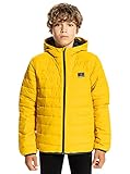 Quiksilver™ Scaly - Hooded Puffer Jacket for Boys - Jung