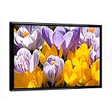 artboxONE Poster mit schwarzem Rahmen 18x13 cm Floral Krokus - Bild frühling blüte dek