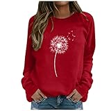 sweatjacke damen große größen hoodie sweatshirt aesthetic top hoodie damen warm fleece stoff jacke damen sweatshirt y2k pullover damen sweatjacke rosa jacke übergangsjacke lang langarmshirt sp