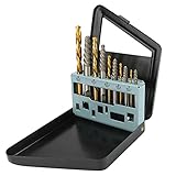 Brynnl Schraubenausdreher & Linkshänder-Bohrer-Set, 10 Stück, Easy Out Bolzenausdreher mit Metall-Indexgehäuse, robuste Spiralnut-Bohrer-Bits zum Entfernen beschädigter Schraub
