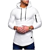 Herren Pullover Frühling und Herbst Einfarbige Kapuzen Slim Langarm Pullover im europäischen und amerikanischen Stil für Herren L