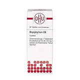 DHU Bryophyllum D6 Tabletten, 80 St. Tab