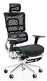 CLP Bürostuhl Vernier Ergonomic I Ergonomischer Drehstuhl I Kopfstütze I Fußstütze, Farbe:schw