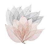 WQAZ Prägung 100 stücke Magnolia Skeleton Blatt Blätter Scrapbooking Verschönerung Schwarzer Kaffee Für Dekorieren Karten Kerzen Lampenschirme Scrapbooking Vasenfüllung