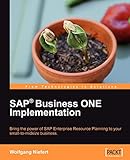 SAP Business ONE Implementation (English Edition)