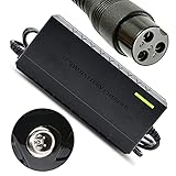 joyvio 24V Elektroroller Ladegerät für Razor E100 E200 E200S E175 E300 E300S E125 E150 E500 E500S PR200 E225S E325S MX350 MX400 ZR350 Netzkab