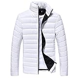 RYTEJFES Stehkragen Steppjacke Herren übergangsjacke Herbst Winter Warm Winter Jacken Mantel Reißverschluss Kapuzenjacke Winterjacke Dünn Softshelljacke Outdoorjacke W