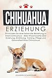 CHIHUAHUA ERZIEHUNG: Entwickeln Sie eine liebevolle Beziehung zu Ihrem Chihuahua - Alles Wissenswerte über Erziehung, Ernährung, Training, Pflege und Gesundheit Ihres C