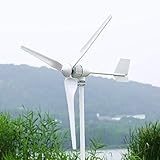 2000W Windkraftanlage Horizontale Windturbine mit Hybrid-Controller und Wechselrichter 24V 48V 96V Windgenerator Windmühle freie Energieleistung (mit Hybrid-MPPT-Controller, 48V)
