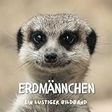 Erdmännchen: Ein lustiger Bildb