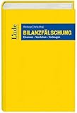 Bilanzfälschung: Erkennen - Verstehen - Vorbeug
