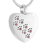 OSNDFI Crystal Inlay Pet Paw Souvenir Edelstahl Urne Anhänger Halskette Andenken Urnen Schatullen fü
