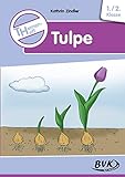 Themenheft Tulpe (Themenhefte)