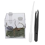 Balacoo 1 Set Spinne Lebensraum Box Reptil Fütterung Zucht Box Acryl Spinne Käfig Kleine Bug Insekt Tank Box Landschaft Spinne H