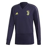 adidas Juventus EU TR Top Sweatshirt für Herren, Mehrfarbig (TINNOB)