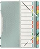 Esselte Colour'Ice Ordnungsmappe, A4, 12 Fächer, PP, Mehrfarbig, 626256