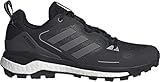 adidas Men's Terrex Skychaser 2.0 Hiking Shoe, Core Black/Grey Four/DGH Solid Grey - 8