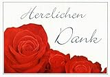 Danksagungskarten ohne Innentext Motiv rote Rosen 10 Klappkarten DIN A6 Querformat mit weißen Umschlägen im Set für diverse Anlässe Hochzeit Geburtstag Dankeskarten Dankeschön Karten Danke sagen K61