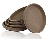 Ton Untersetzer 5 Stück Made in Germany Pflanzenteller Teller Blumentopf Terrakotta Topf Tontopf Übertopf Pflanzen wiederverwendbar Frühling Deko Gartendeko Natur 5er Set (Durchmesser 8,7 cm)