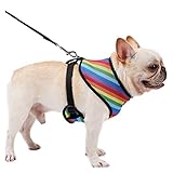 Katzen- und Hundeleine Neue Hund Hundegeschirr mit Leine 2 stücke Set Verstellbare Gurte mit Regenbogenstreifen Outdoor Leine for Haustier Katze Hund mit kleinen Haustieren Haustierleine ( Size : L )