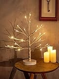 Hypestar Dekoratives Lichterbaum | Leuchtbaum mit 24 Warmweißer LEDs Licht | 45cm Lichterzweige für Tischdekoration | Zeitschaltuhr USB und Batterien | Weihnachten Ostern Party Innendeko (24led Weiß)