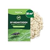 Legona Nematoden zur Bekämpfung von Trauermücken - 10m² Blumenerde / 5 Mio / 60 Pflanzen - Bio Schädlingsfrei Gießmittel für Zimmerp