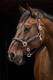 Tysons Breeches Don Lederhalfter BI Color Halfter Leder Rindsleder SUPER Soft Neck Braun Schwarz ergonomisch EDEL Superweich VB WB X Full (Vollblut)