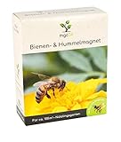 mgc24® Bienen- und Hummelmagnet - Blumenmischung für Bienen und Hummeln ein- & mehrjährig 100g für 100m²