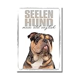 Old English Bulldog 2 Seelenhund Dog Schild Spruch Türschild Hundeschild Warnschild S