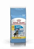 Royal Canin Maxi Junior Hundefutter, 15 kg plus 3 kg gratis, 1er Pack (1 x 18 kg)