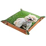 Valet Tablett Aufbewahrungskiste 20.5x20.5CM,Pommersches Hundebraunes Haar Relax