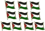 3/6/10PCS Palestine Palestinian Flag Pin Badge Lapel - Palestine National Enamel Badge Armb