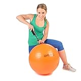 Original Pezzi Gymnastik Ball 53cm plus Pumpe Sitz Therapie Pilates orang