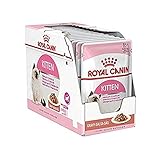 Royal Canin Feline Portionsbeutel Health Nutrition Kitten Soße 12 x 85g