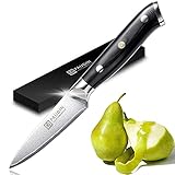 PAUDIN Damast Schälmesser 9cm - Obst und Gemüsemesser Japanisches AU10 Küchenmesser mit ergonomischem schwarzem Micarta-G