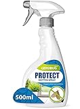 Gerobug Mottenspray 500 ml Protect - Einfache Mottenbekämpfung für Lebensmittelmotten & Kleidermotten - Mottenschutz für Kleiderschrank, Schrank, Wohnung, Kleider, Teppich & Küche geeig