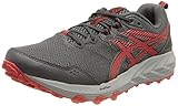 ASICS Herren Gel-Sonoma 6 Traillaufschuh, Carrier Grey/Electric Red, 46.5 EU