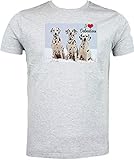 Dalmatiner T Shirt, My Best Friend, grau - Größe: 9-11 J