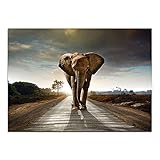 YANGYUE Canvas Elephants Posters and Prints Wall Art Picture Living Room Decor （50×70CM/19.6×27.5inch） F