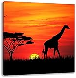 Giraffe im Sonnenuntergang, Format: 40x40 auf Leinwand, XXL riesige Bilder fertig gerahmt mit Keilrahmen, Kunstdruck auf Wandbild mit Rahmen, günstiger als Gemälde oder Ölbild, kein Poster oder Plak