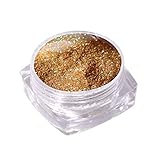 SANWOOD Nagelpulver Glitter Staub Glitzerndes Pigment glänzend Nail Art Dekorationen DIY Maniküre Handwerk Dekor 1