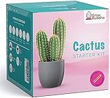 Grow Buddha Cactus Kit wachsen Ihre eigenen Kaktus-Samen Starter Kit - leicht wachsen schöne Sorten von Kaktus-Pflanzen mit unseren kompletten Anfänger freundlich I