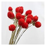 Hzdmfgs Künstliche Blumen 15 stücke Bunte natürliche blumenstrauß erdbeeren Gras DIY handgemachte Handwerk künstliche Blume wohnkultur photap Requisiten (Color : Red)