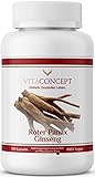 Roter Panax Ginseng Extrakt 600 mg (20% Ginsenoside) | echter koreanischer Ginseng | vegan | 120 Kapseln | laborgeprüft | VITACONCEPT